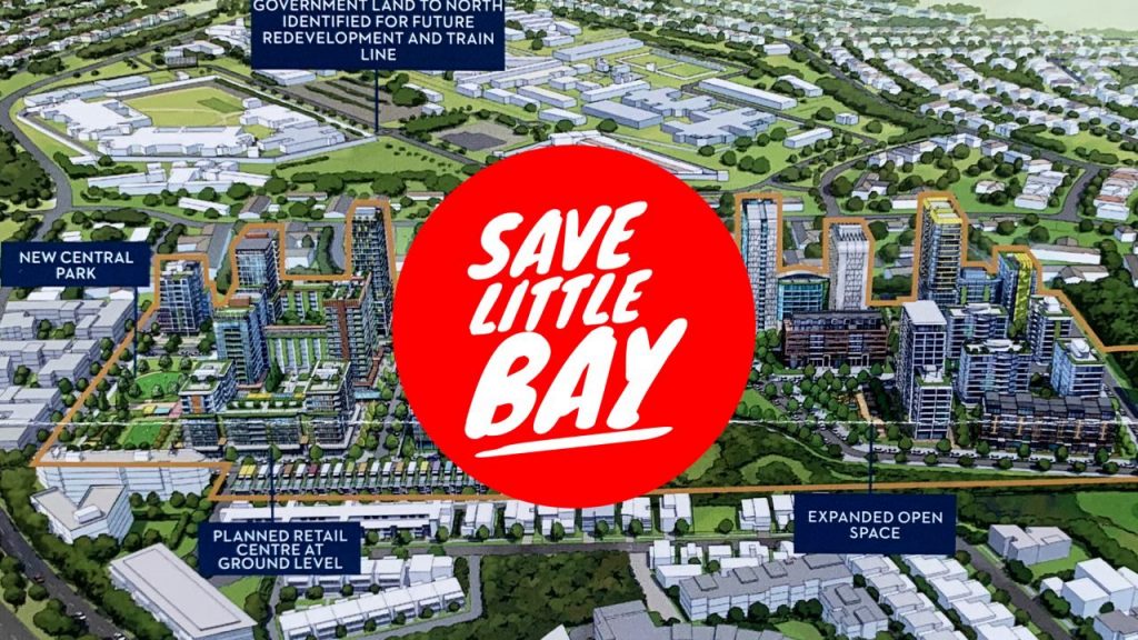 Save Little Bay