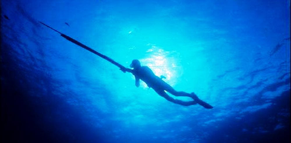 Spearfishing at Little Bay