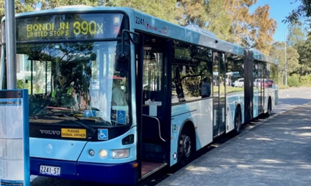 Bondi bus image