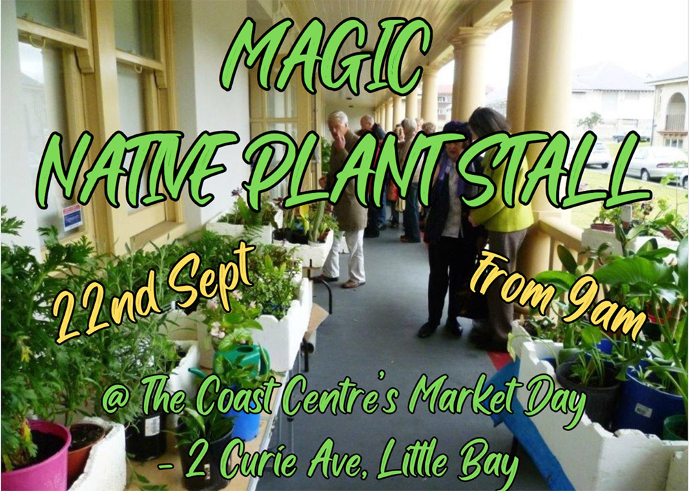 Native Plant Stall at the Artisan Markets at The Coast Centre Sunday September 22